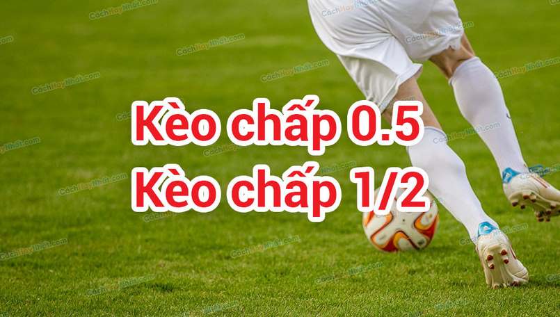Giải thích kèo 0 – 0.5 là gì dễ hiểu nhất