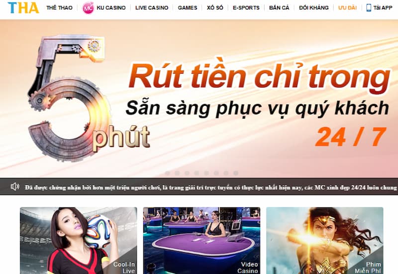 Những lưu ý khi liên hệ Thabet