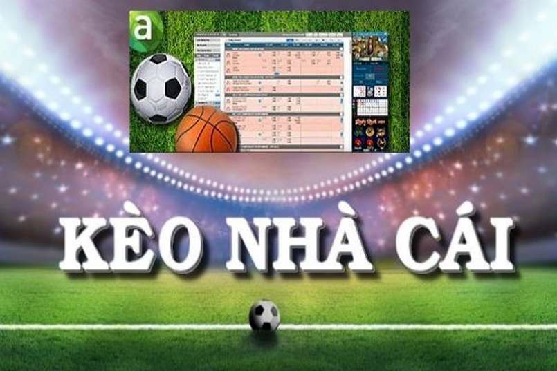 Nắm chắc quy tắc đặt cược