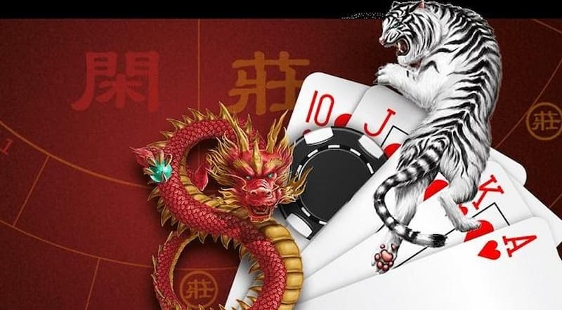 Dành thời gian nhìn nhà cái chia bài