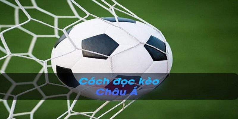 Các ván cá cược bóng đá Châu Á