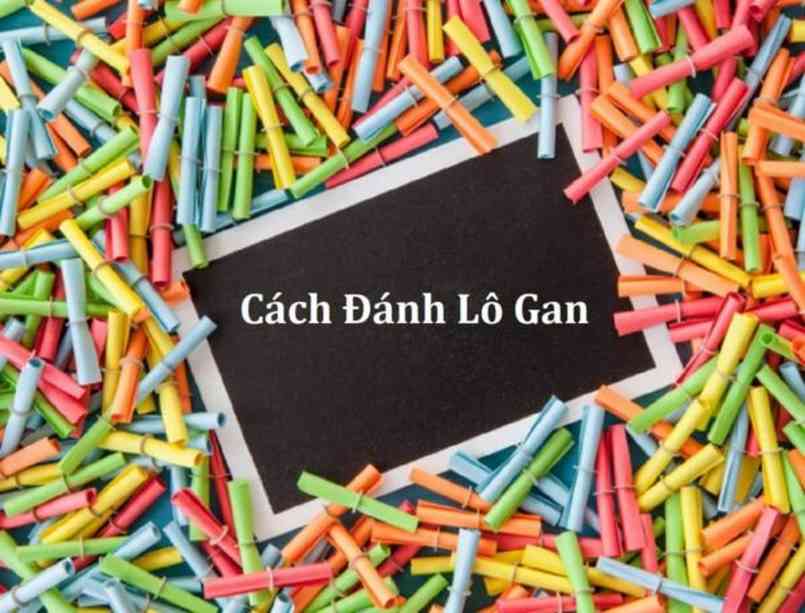 Đánh lô gan miền Bắc bằng phương pháp nuôi lô gan