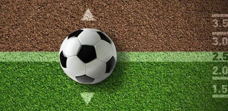 Tổng quát về game cá cược tài xỉu 2 trái
